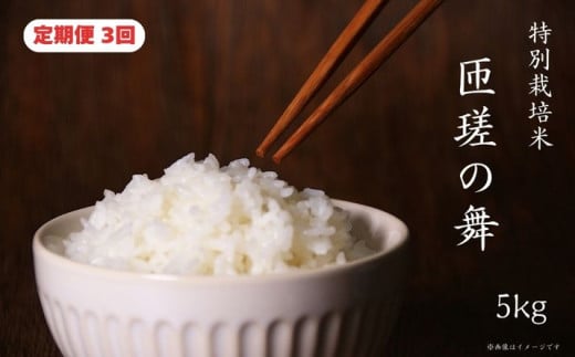 【定期便3回】 令和7年産　匝瑳の舞　精米　5kg ／ お米 米 コメ こめ ごはん ふさこがね 白米 精米 5kg チバエコ 特別栽培 新米 千葉県 匝瑳市 5kg×3回