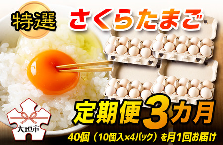 【定期便 3ヶ月】特選 さくらたまご 40個（10個入×4パック） 3回 卵 玉子 タマゴ