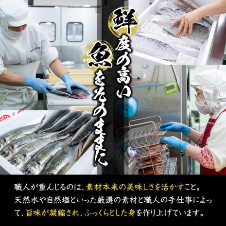 ＜訳あり＞干物 バラエティセット (8種：隔月3回) 定期便 簡単 調理 干物 あじ かます さば きびなご あつめし ぶり ぶりかま フライ 開き 魚 海鮮 冷凍 詰め合わせ 大分県 佐伯市 やまろ