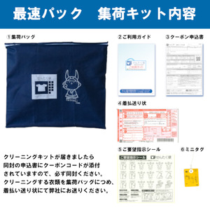 衣類 クリーニング（10点）【お預かりからお届けまで最短5営業日】クリーニング サービス