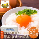 【ふるさと納税】畠中育雛場のげんきタマゴん 80個 《30日以内に出荷予定(土日祝除く)》福岡県 鞍手郡 小竹町 卵 送料無料 有限会社畠中育雛場