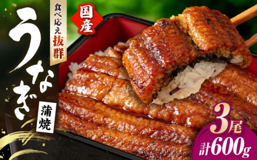 うなぎ蒲焼 うなぎ 国産 3尾 約600g | うなぎ ウナギ unagi 国産鰻 こくさんうなぎ 蒲焼 蒲焼き かばやき 国産 魚介 海鮮 魚 鰻 うなぎ ウナギ 蒲焼国産 惣菜 おかず 鰻の蒲焼 冷凍 明治創業 老舗 伝統 国産 土用丑の日 丑の日 秘伝のタレ お祝い 滋賀県長浜市/株式会社 魚三 [AQDF008]