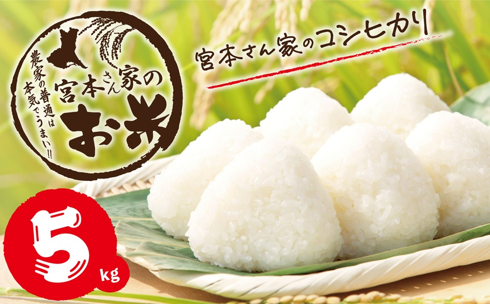 
                  新米【令和8年産】茨城県稲敷市産 宮本さん家のこしひかり 5kg×1袋｜米 おこめ コシヒカリ 精米 農家直送 直送 茨城県 [2388]
                