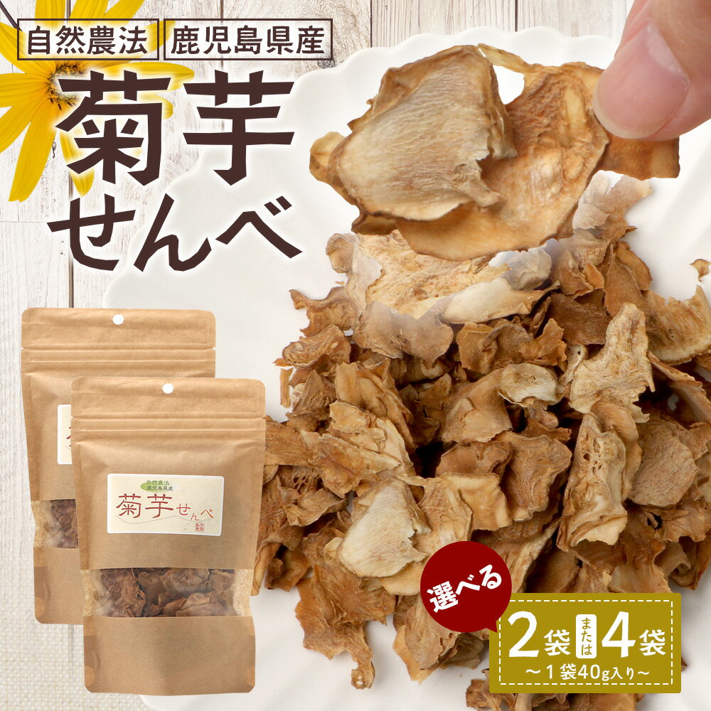 【ふるさと納税】白色菊芋 菊芋せんべ {選べる内容量！2袋・4袋}｜ せんべい お菓子 菊芋 ノンフライ ノンオイル きくいも 焙煎 おつまみ グルメ お取り寄せ 鹿児島県 南大隅町 島子農園