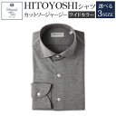 【ふるさと納税】HITOYOSHIシャツ カットソージャージー グレー ワイドカラー 紳士用 M/L/LL 選べるサイズ シャツ 人吉シャツ ワイドカラーシャツ メンズ ファッション 送料無料