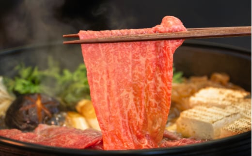 【定期便】雪降り和牛 定期便 MIXコース 2025年5月〜配送（ 焼肉 / すき焼き / しゃぶしゃぶ / ステーキ ）全4回 尾花沢牛 山形牛 国産牛 黒毛和牛 牛肉 お肉 冷凍 ja-tkmix