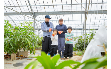 【2024年発送先行予約】沖縄県【琉花ファーム】キーツマンゴー　秀品1.5kg　（ご贈答用）