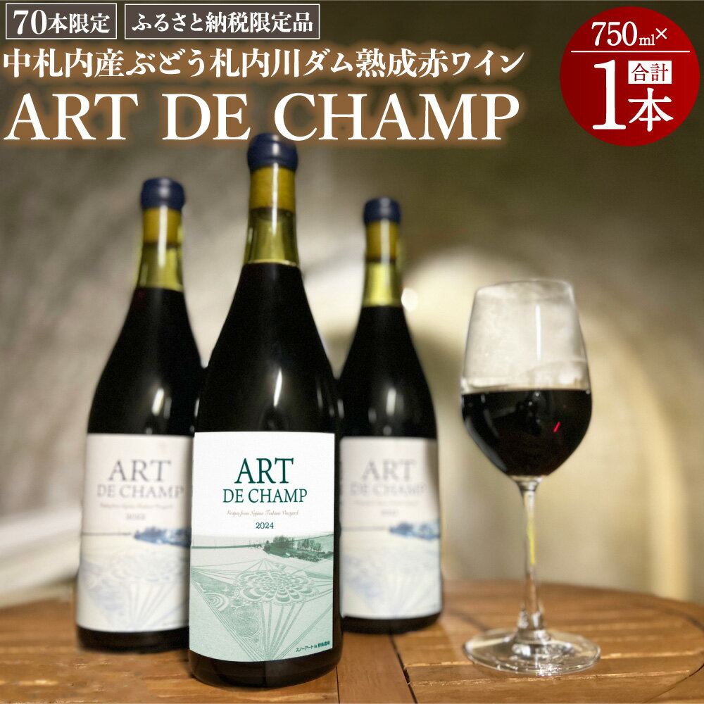 【ふるさと納税】《70本数量限定》札内川ダム 熟成 赤ワイン 中札内村産 1本 ぶどう アート・ド・シャンプ 【2026年6月上旬発送】 ワイン 赤 お酒 おさけ 酒 ギフト 贈答 プレゼント お取り寄せ 北海道 中札内村 送料無料 [006-0109]
