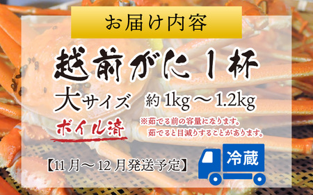【先行予約】越前港より直送！ 越前がに 大 (約1kg～1.2kg) 1杯※発送前に在宅確認の電話連絡をいたします!【11月～12月発送予定】ズワイガニ ずわいがに ズワイ蟹 越前ガニ ボイル 刺身 