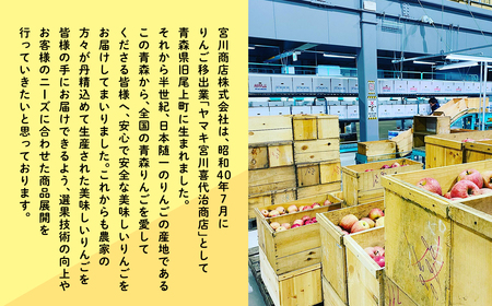 【レビューキャンペーン】11月発送 【訳あり】旬のりんご詰め合わせ10㎏【りんご・青森・平川・訳あり・家庭用・宮川商店・11月】[hi-0054-006-11]