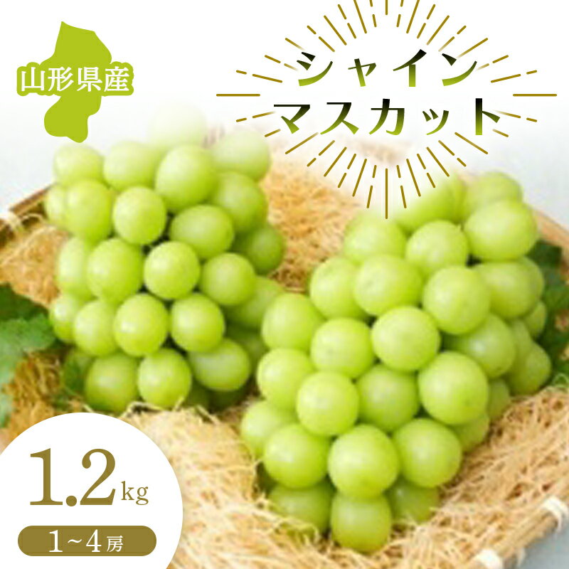 【ふるさと納税】 【先行予約 令和8年度発送】山形県産 シャインマスカット 1.2kg マスカット ぶどう ブドウ 葡萄 デザート フルーツ 果物 くだもの 果実 食品 山形県 FSY-0681