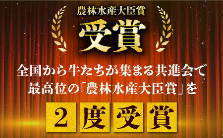 【2度の農林水産大臣賞】佐賀牛 焼肉 切り落とし 500g 【田中畜産牛肉店】佐賀牛 牛肉 切り落とし[HBH143]