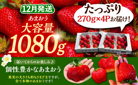 【先行予約】【12月発送】農家直送 あまおう 1080g (270g以上 × 4パック) 土耕栽培《豊前市》【内藤農園】 [VAB006] 果物 いちご フルーツ