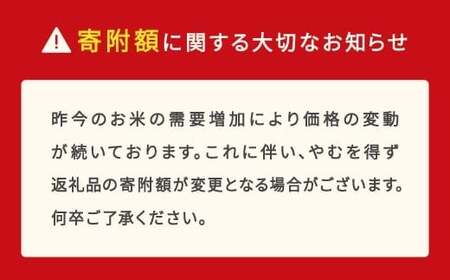 新米 米 5kg 5kg×1 はえぬき 精米 令和7年産 2025年産 山形県産 送料無料 ※沖縄・離島への配送不可 mk-haxxa5