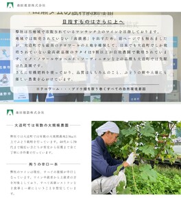 【数量限定】「早池峰の恵み」モリタワイン　ダム貯蔵熟成　赤・白ワイン 年代別飲み比べコンプリートセット 【2199】