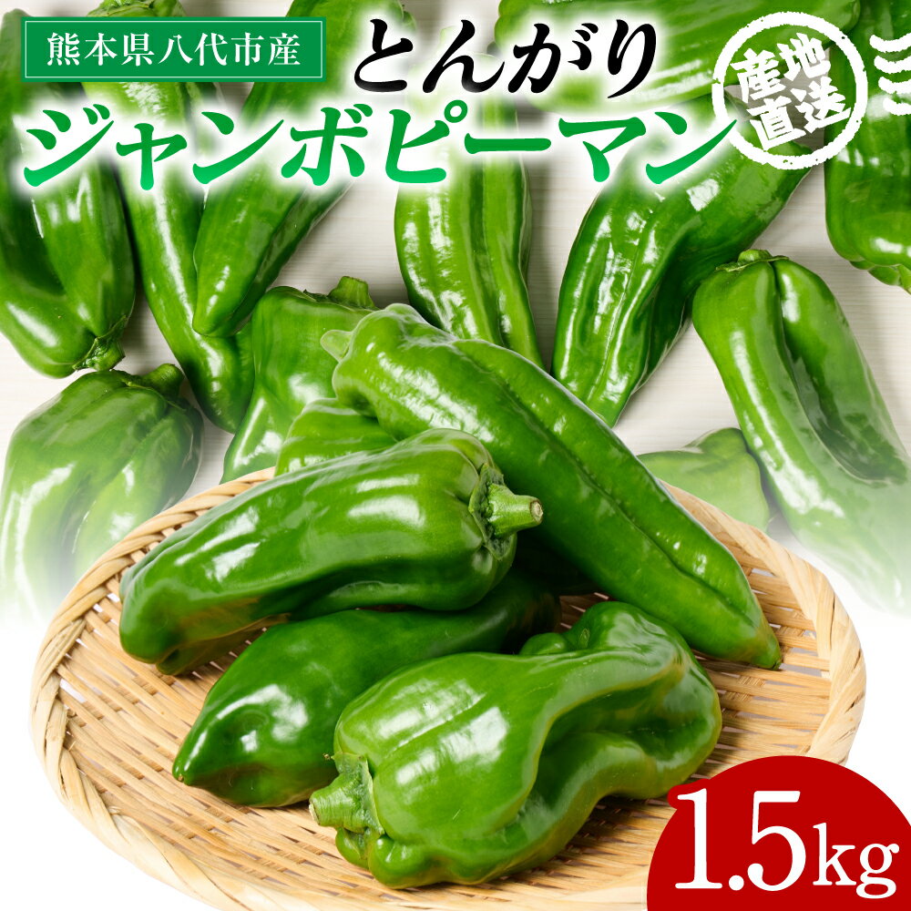 【ふるさと納税】 産地直送 とんがりジャンボピーマン 1.5kg 野菜 やさい 野菜炒め サラダ 夏野菜 新鮮 旬 無限ピーマン おつまみ BBQ バーベキュー 肉詰め 熊本県 八代市 送料無料