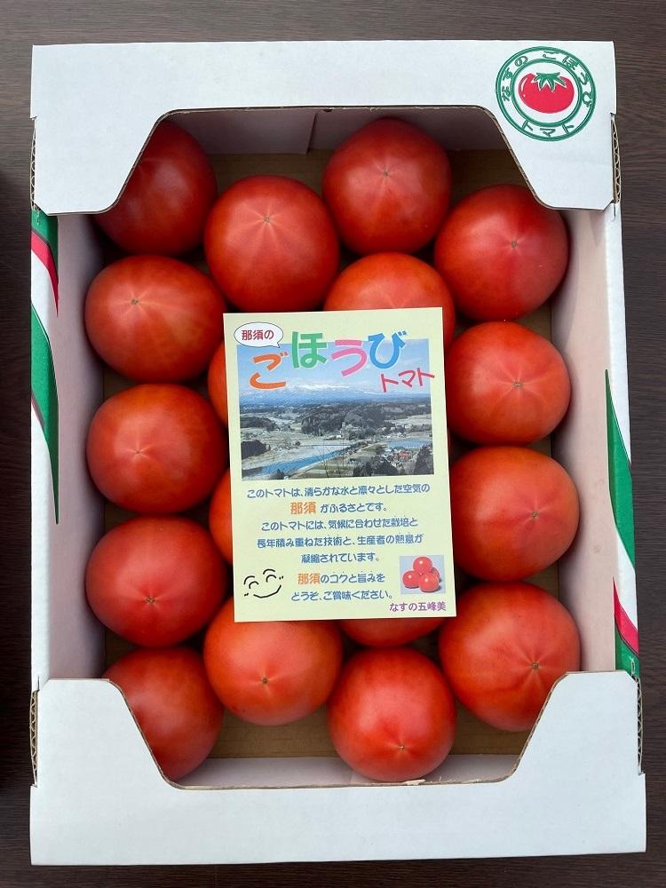 【数量・季節限定2025年2月から5月収穫・発送】那須の五峰美トマト（糖度8度以上、約2kg）
