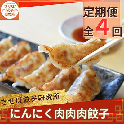 ふるさと納税 佐世保市 【発送月固定定期便】 させぼ餃子研究所 にんにく肉肉肉餃子 計96個×全4回