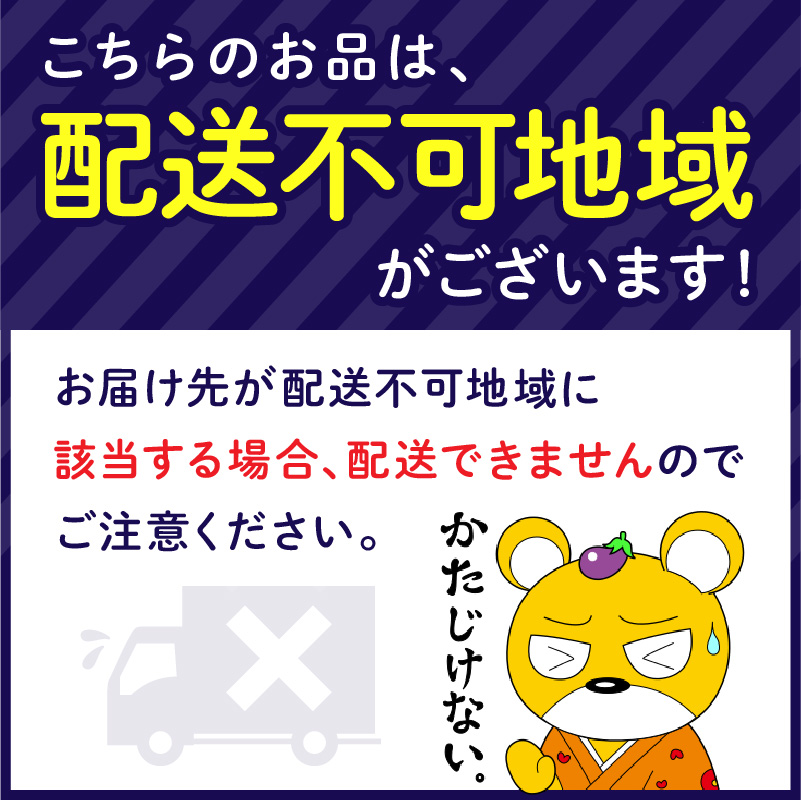 【吉田珈琲本舗】こだわりのアイスコーヒー無糖 12本 3ヶ月定期便【配送不可地域：北海道・沖縄・離島】【010A-002】