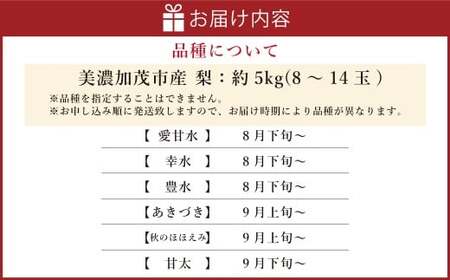 《先行予約》山之上の梨（品種はおまかせ） 約5kg（8～14玉） 16000円 1万6千円 愛甘水 幸水 豊水 あきづき 秋のほほえみ 甘太 なし ナシ 梨 フルーツ 冷蔵 岐阜県産 国産 送料無料 