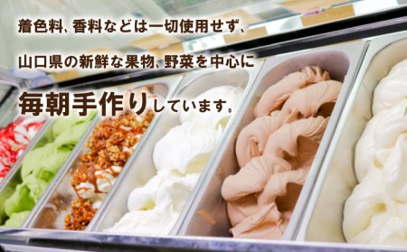 アイス ジェラート 8種8個 アイス EP