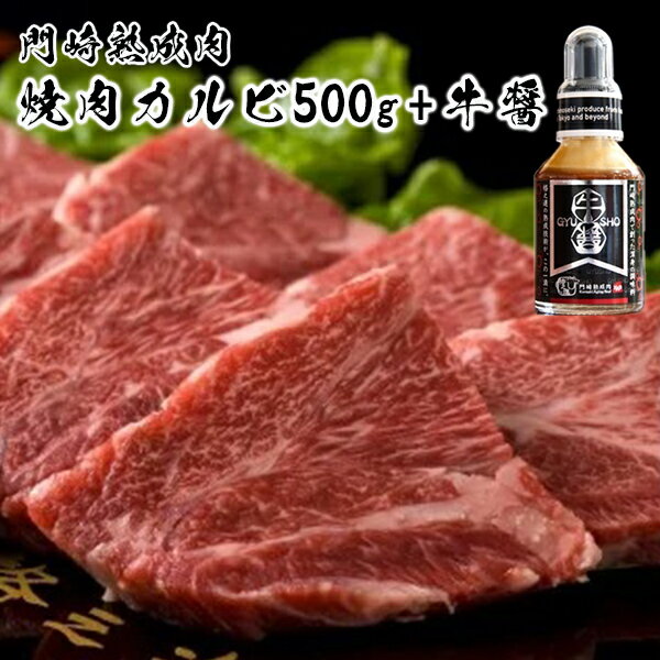 【ふるさと納税】肉 霜降り｜門崎熟成肉 焼肉カルビ500g 牛醤1本 セット 格之進 プレミアム 送料無料 無添加 高級 国産 牛肉 肉 岩手 一関 贈り物 ギフト お取り寄せ 冷凍 人気 バーベキュー BBQ