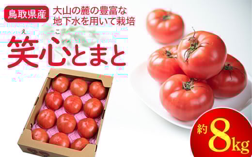 鳥取県産笑心とまと 8kg（約4kg×2箱）トマト 新鮮トマト 鳥取トマト 笑心とまと 野菜 リコピン サラダ 野菜 新鮮 鮮度 抜群 トマト 