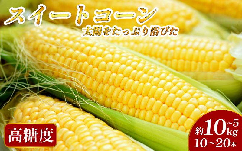 
            【先行予約 出荷2026年6月～】【大サイズ】 極甘 とうもろこし 選べる 5kg 10kg 10~20本 スイートコーン 大きい サイズ 三好市産 朝採れ 予冷 冷蔵 高糖度 トウモロコシ ギフト お中元 バーベキュー 
          