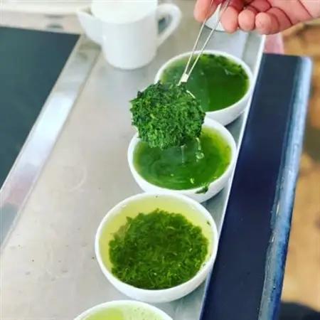 大和茶・宇治煎茶・宇治玉露セット_飲料・ドリンク 茶葉・ティーバッグ 茶 _【1354759】