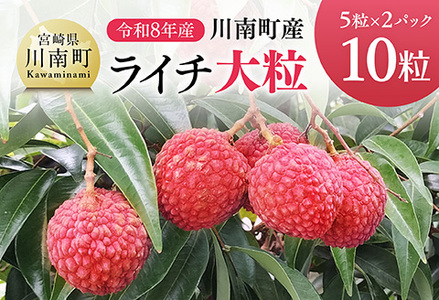 【令和8年産】川南町産ライチ（大粒）10粒(5粒×2パック) 【 国産ライチ フルーツ デザート 宮崎県産 】