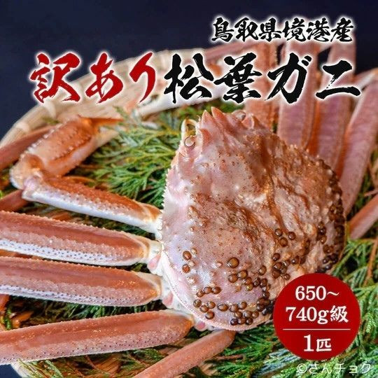 
                  【ボイル】 訳あり 松葉ガニ 650～740g級
                