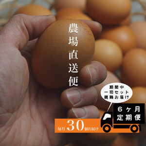 『定期便』四ツ葉農場の霜降りたまご「きみがスター」30個全6回＋親鳥1羽付き YO019_006s6