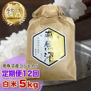 【ふるさと納税】【12ヶ月定期便】令和6年産 「越後湯沢産」精米(白米)5kg×12回【湯沢産コシヒカリ】南魚沼産 こしひかり【特A】