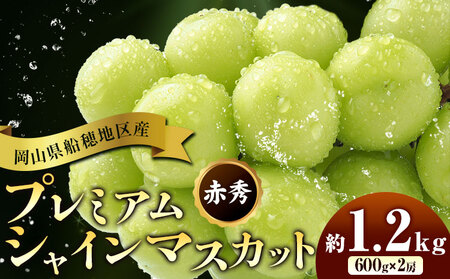【2026年発送】岡山県船穂地区産 プレミアム シャインマスカット 晴王 赤秀 1.2kg  彩美菜果