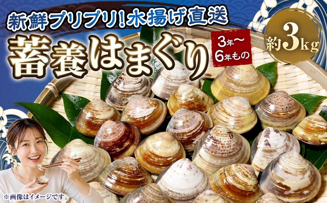 
                  【満天☆青空レストランでご紹介】桑名はまぐり屋 蓄養はまぐり 3年～6年もの 3kg_ はま王 蛤 ハマグリ 魚介 貝 魚貝 活はまぐり 焼きはま 海鮮 網焼き 酒蒸し お吸い物 パエリア パスタ 焼きはまぐり 焼き蛤 
テレビ 紹介 bb02
                
