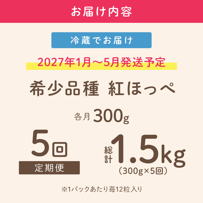 【2027年1月～5月発送予定】【いちご本来の甘酸っぱさを味わう】定番人気 紅ほっぺ 約300g（約300g×1パック×1箱）5ヶ月定期便 ※お届け不可地域あり【121C-009-2027】