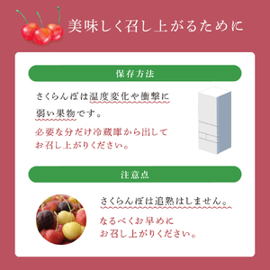 先行受付 厳選さくらんぼ スペシャル2色D 24粒（赤・黄）勝錦・スタックゴールド