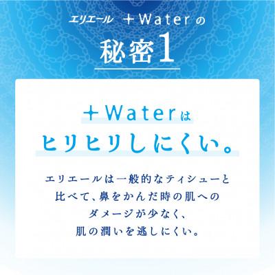 ふるさと納税 津山市 エリエール+Waterティシュー180W5P |  | 03