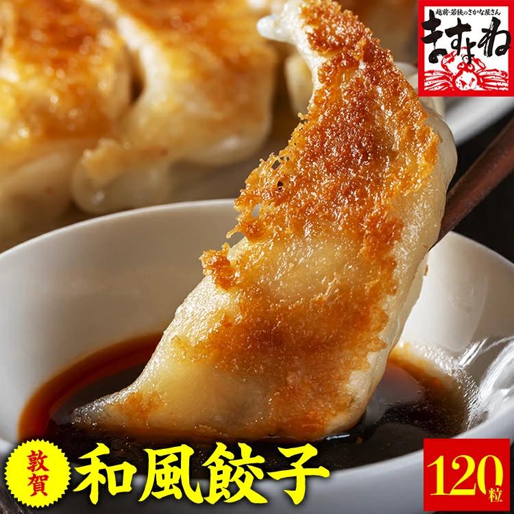 肉汁溢れる！敦賀和風肉餃子 120個入り！ [001-a014]【敦賀市ふるさと納税】