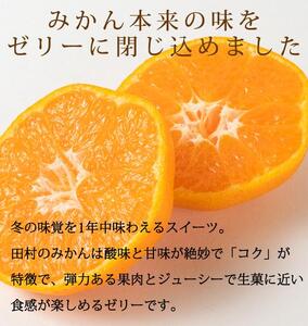 紀州和歌山まるごとみかんゼリー 145g×6個 化粧箱入【2024年10月1日より発送予定】【UT27】