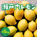 【ふるさと納税】【先行予約】瀬戸内レモン約5kg【2024年11月以降発送】れもん 檸檬 果物 国産 佐木島 フルーツ 広島レモン 産地直送 017031