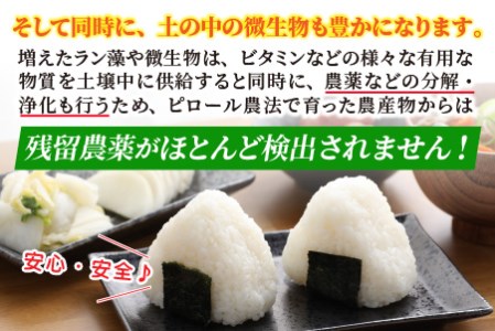 【令和7年産】【3ヶ月定期便】こだわりの米！弱アルカリ性のピロール米 こしひかり 無洗米 5kg×3回 計15kg [C-009003]