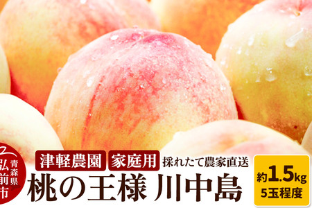 【26年8月発送】もも【2026年産 桃の王様 川中島】家庭用 約1.5kg 5玉程度 津軽農園 採れたて 農家直送