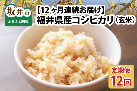 【先行予約】【令和7年産・新米】【農家直送定期便 12ヶ月コース】【玄米】 本原農園のまごころコメた 福井県産 コシヒカリ 10kg × 12回 計120kg 【2025年10月上旬以降順次発送予定】 [O-8903_02]