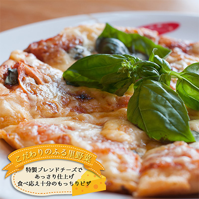 
信州のふるさと野菜たっぷりとろける本格手作りチーズピザ大人気老舗レストランの3種食べ比べセット【1324898】
