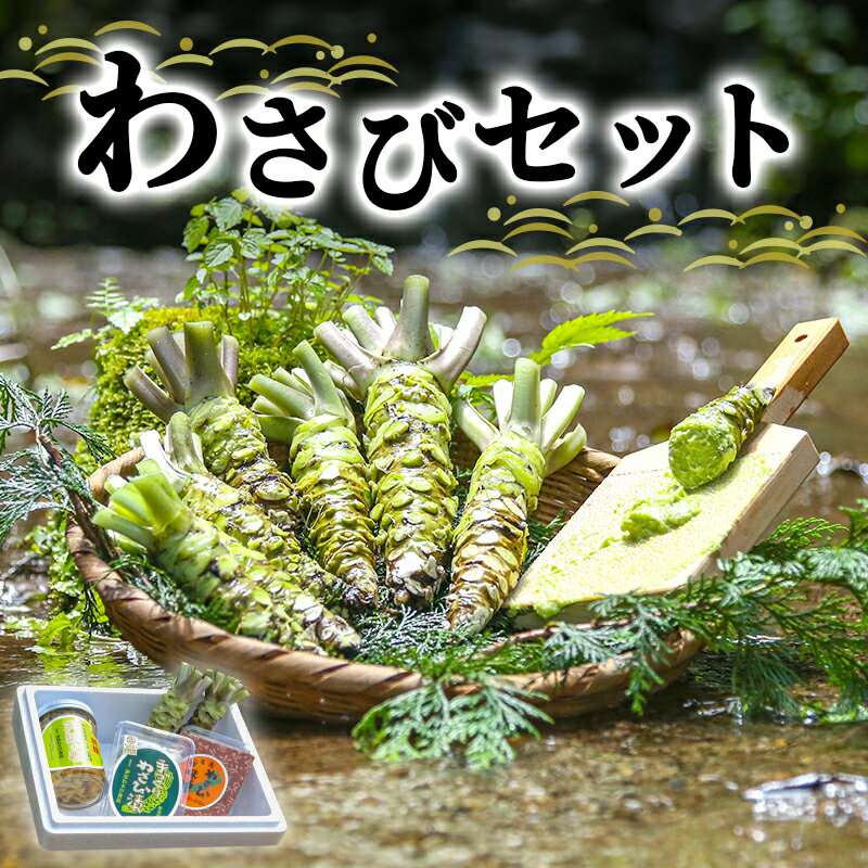【ふるさと納税】わさび セット 生わさび 2本 わさび漬け 1本 天城の春 三杯酢漬け 1瓶 わさび味噌 1個 詰め合わせ 伊豆 伊豆わさび食品直送 ワサビ 山葵 加工品 加工食品 薬味 調味料 冷蔵 冷蔵配送 静岡 静岡県 河津 河津町