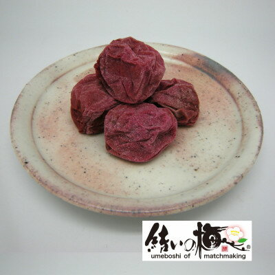 【ふるさと納税】【のし付き】結いの梅「おおぼし」500g(箱入り)【配送不可地域：離島・沖縄県】【1452943】