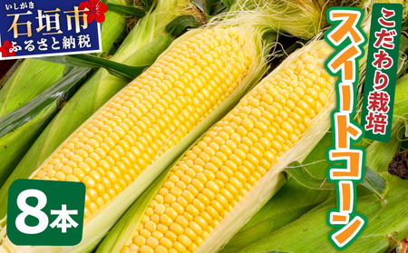 【先行予約2025年12月-2026年4月】 1番遅くて1番早い_ 朝採れプレミアムスイートコーンを皮付きのまま８本お届け!!