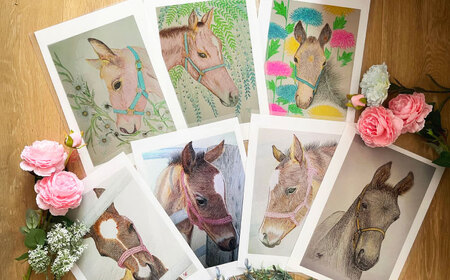 馬のまち栗東 馬と花のステーショナリーセット / 競馬 馬 競走馬 雑貨 クリアファイル メモ 文房具 ポストカード 栗東市 / nashira (nashira picture of horse) 