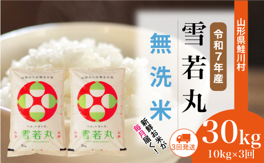 ＜令和7年産米＞ 令和8年1月中旬より配送開始 雪若丸【無洗米】30kg定期便 (10kg×3回)　鮭川村